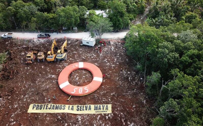¡SOS! La deforestación en la selva maya