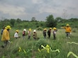 Niñas y niños podrán aprender sobre flora, fauna y prevención de incendios en “Copal Kids 2025”