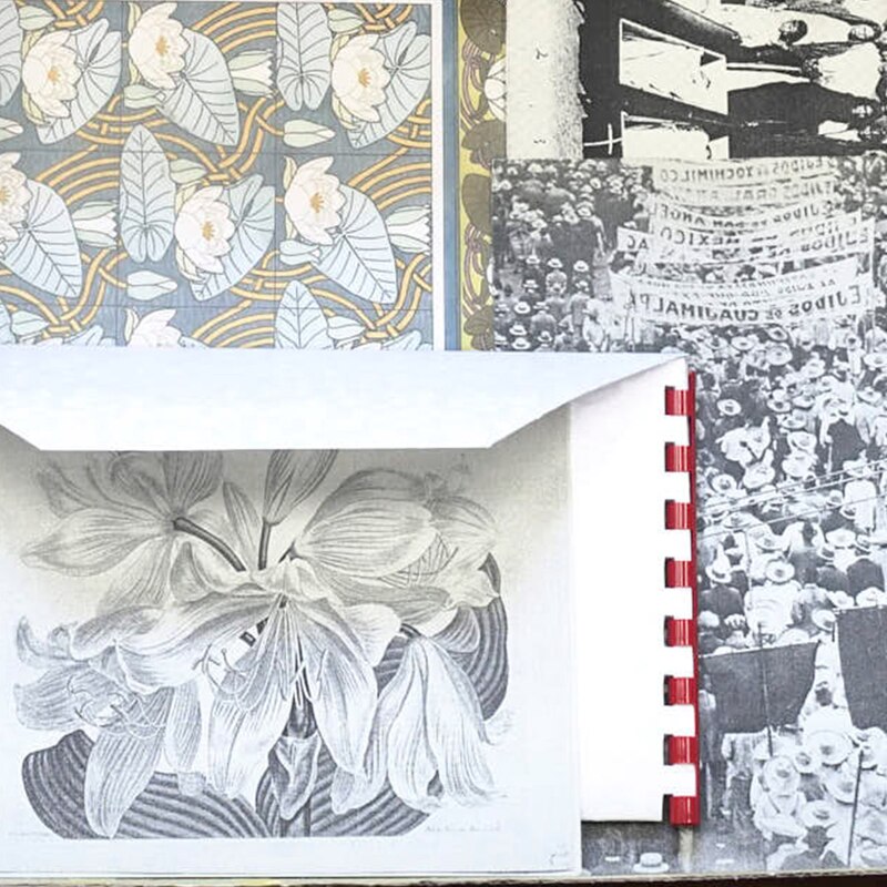 Un collage con una imagen de nenúfares de Claude Monet