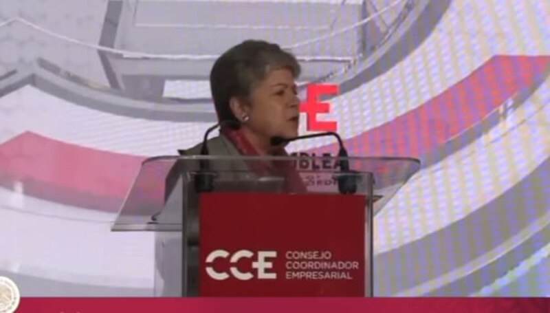 La presidenta del CCE, María Guadalupe Arceo, habla en un evento.