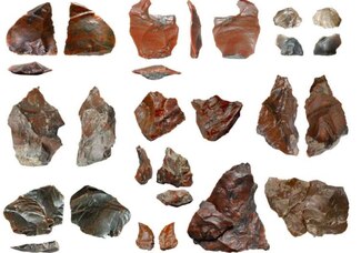 Homínidos afilaban lascas para desmembrar animales hace 430 mil años  