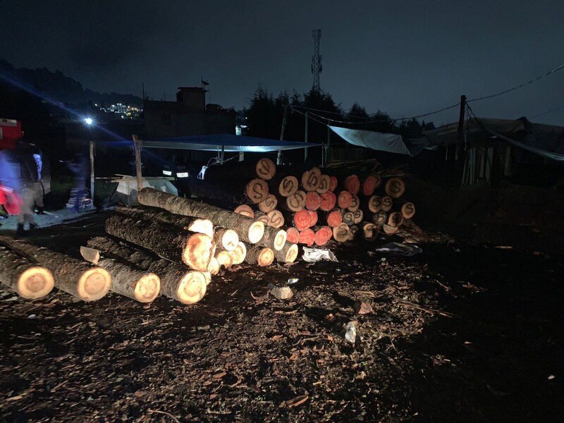 Una pila de troncos de madera en un aserradero.