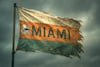 Delfines de Miami, ¿el fin de un espejismo?