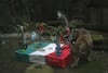 Centros de Conservación de la CDMX ofrecen actividades educativas por Fiestas Patrias
