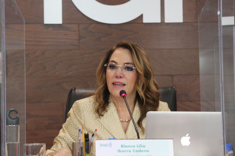 Blanca Lilia Ibarra Cadena