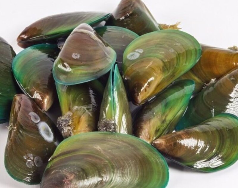 Mejillones verdes frescos