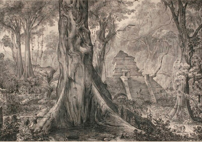 Templo maya en la selva