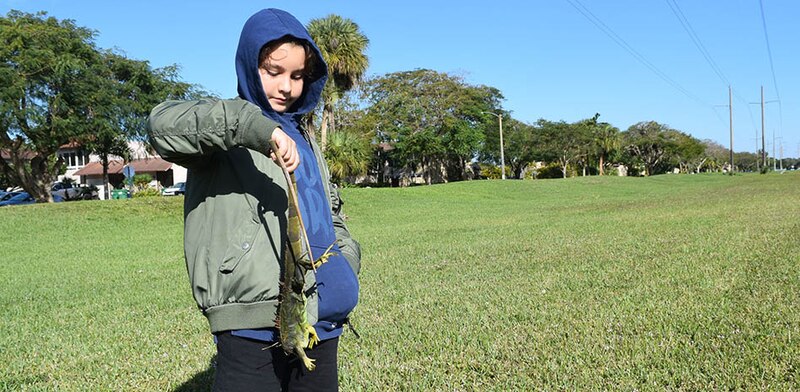 Niño sosteniendo una iguana
