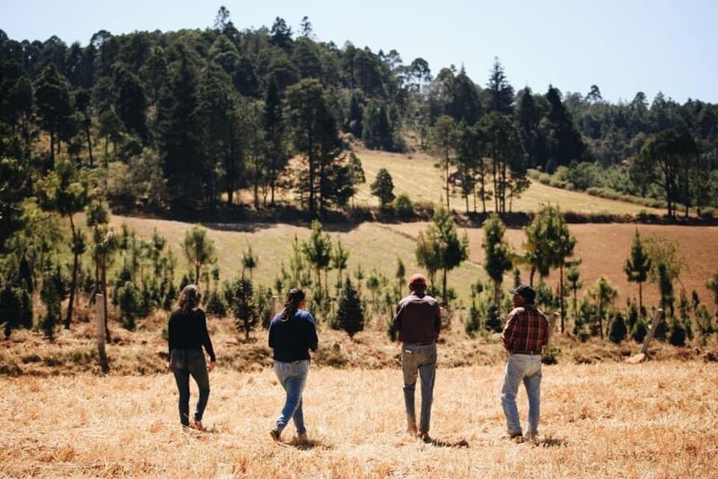 Agricultores caminando por un campo