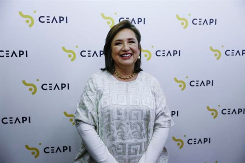 La presidenta de CEAPI, Ana María Llopis, durante una rueda de prensa