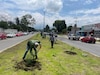 Reforestan el camellón frente al Hospital Pedro López en Ixtapaluca 
