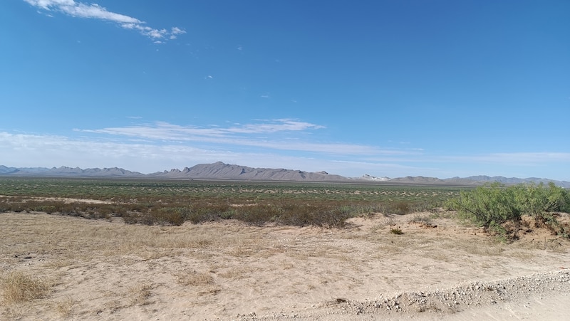 Paisaje desértico con montañas al fondo