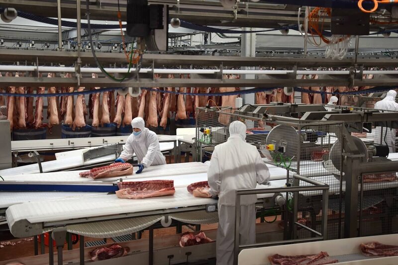 Trabajadores en una planta de procesamiento de carne