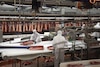 Sostenibilidad, Nueva Credencial de la Industria Cárnica para el Futuro Global