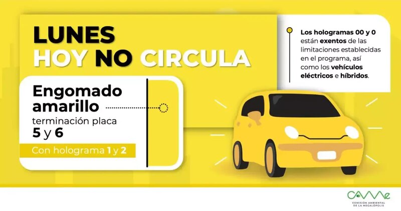 Hoy no circula 11 de agosto