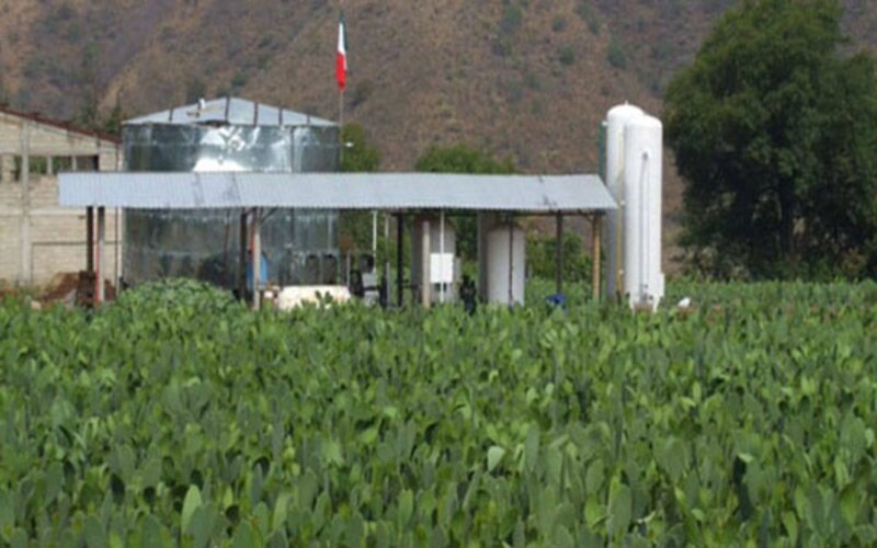 Planta de producción de biocombustible a partir de algas