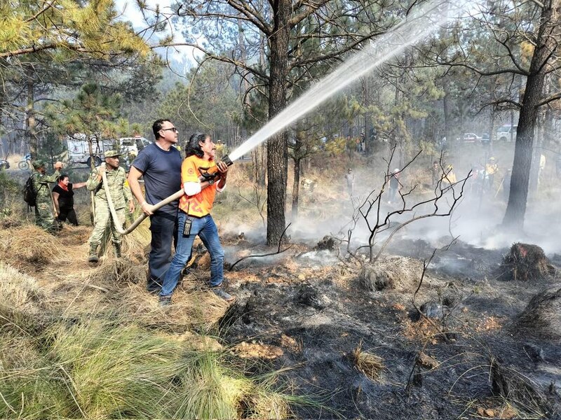 Bomberos combaten incendio forestal