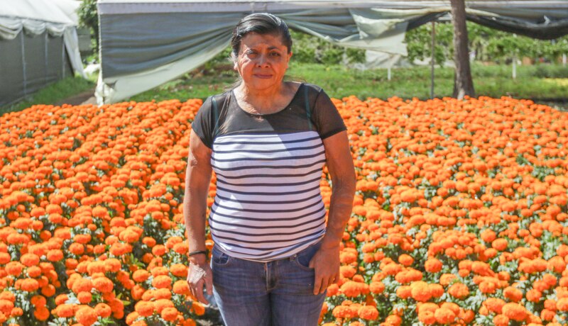 Mujer en un campo de flores