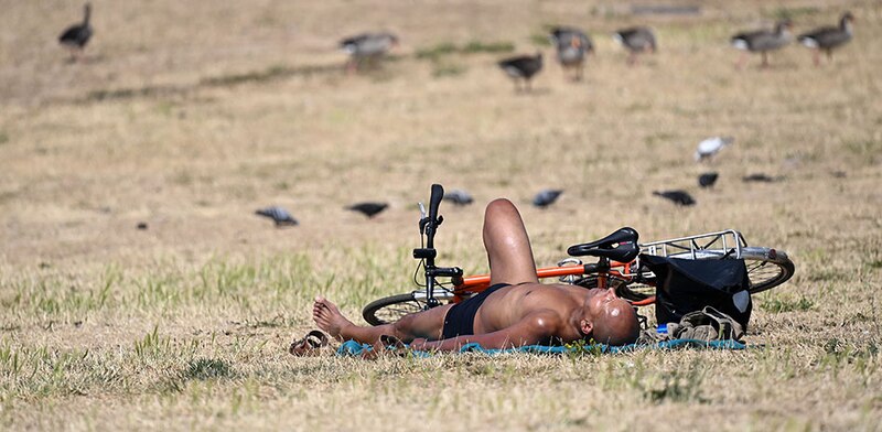 Un hombre tomando el sol en el parque