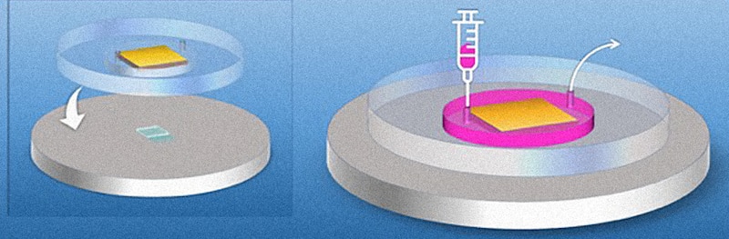 Nanopartículas magnéticas.