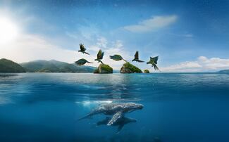 Mati Covarrubias y el latido natural de “La Bahía de mi vida”