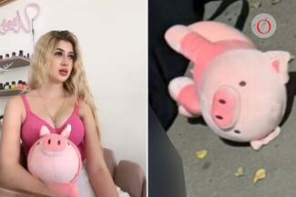 Cerditos rosas de peluche: ¿qué es lo último que se sabe del asesinato de Valeria Márquez, primer caso relacionado?