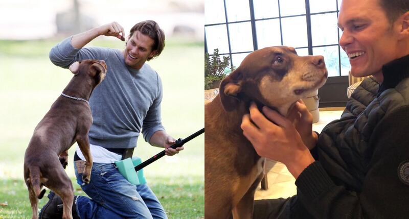 Tom Brady clona a su mascota.
