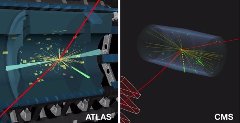 ATLAS y CMS, los dos detectores principales del Gran Colisionador de Hadrones (LHC), han detectado una nueva partícula, el bosón de Higgs.