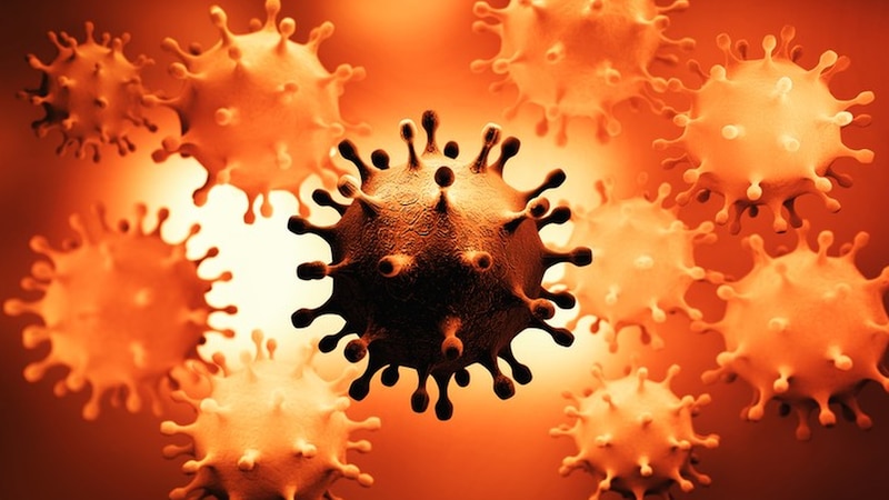 Coronavirus