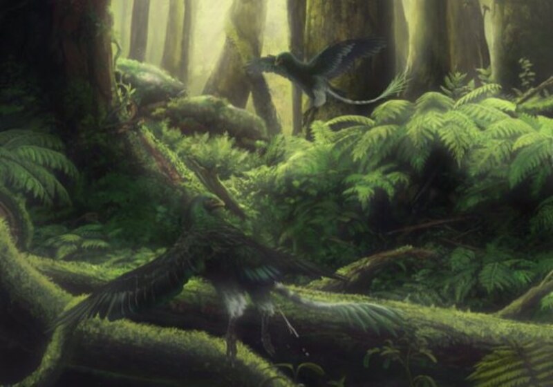 Un bosque prehistórico con dos dinosaurios.