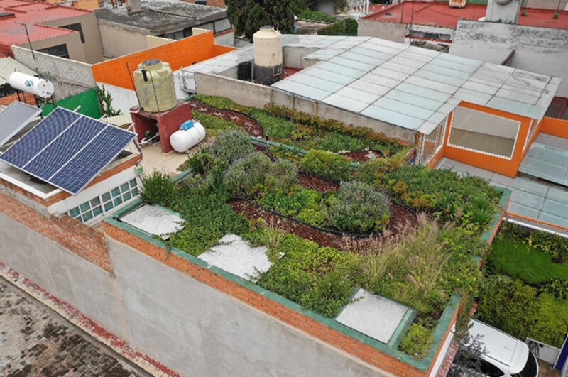 Azotea verde en la Ciudad de México