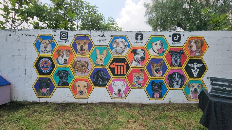 Perros en hexágonos