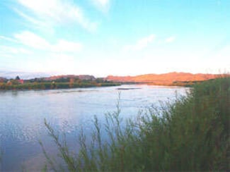 Tratado de aguas con EU, no afectará consumo y uso agrícola en México