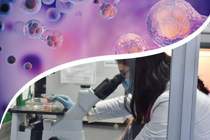 Científica mirando células cancerosas a través de un microscopio