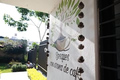 Bosques con Aroma de Café invita a redescubrir la naturaleza y fortalecer el cuidado de los bosques