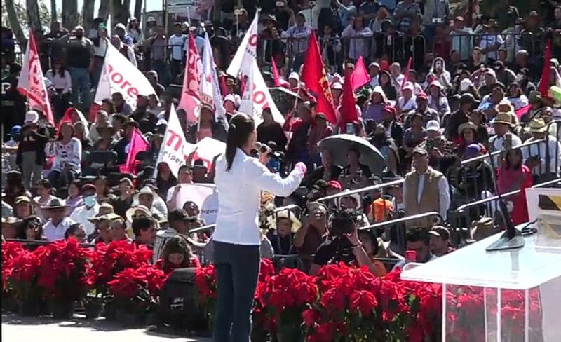 Discurso de una política en un mitin