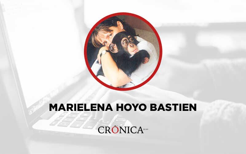 Marielena Hoyo Bastien, una mujer que ha dedicado su vida a la conservación de los chimpancés.