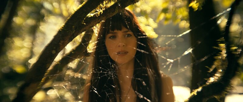 La mujer araña