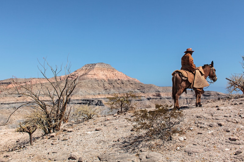 Un arriero en el desierto