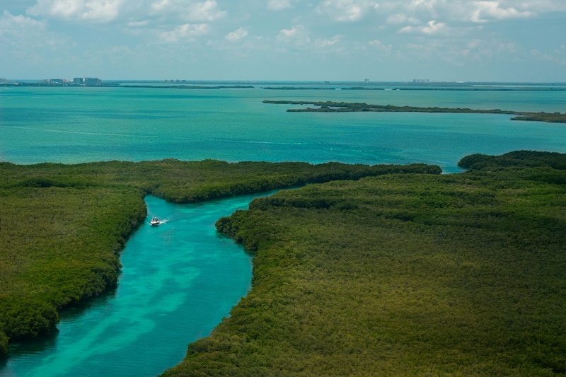 Vista Aérea Panorámica De Los Canales De Manglares De Cancún