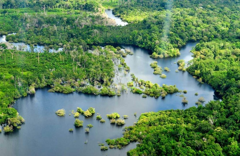 La belleza de la selva amazónica