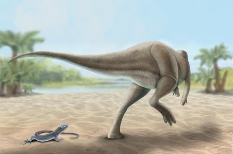 Un dinosaurio persiguiendo a una lagartija