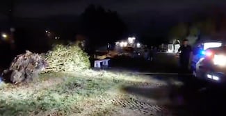 Policías de Tlaquepaque liberan vialidad tras caída de árboles por lluvias