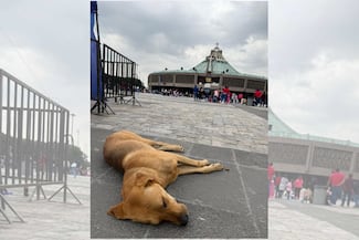 Sombras que caminan la fe sin identidad