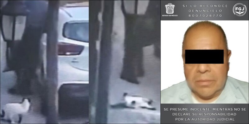 Detienen a presunto feminicida en el Estado de México