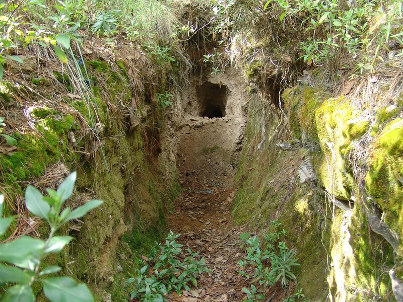 Una madriguera en el suelo