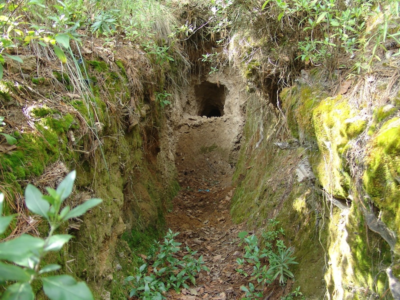Una madriguera en el suelo