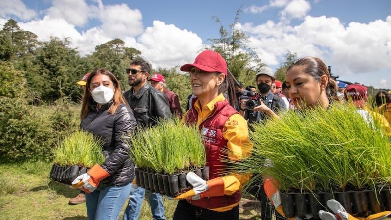 Siembra de árboles en el parque ecológico