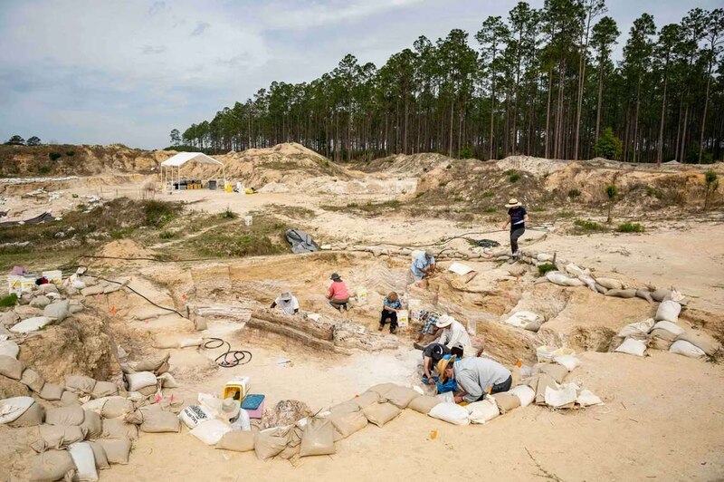 Un equipo de arqueólogos trabaja en un yacimiento en busca de fósiles