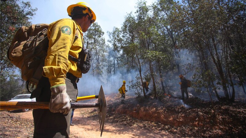 Bombero forestal ataca un incendio forestal